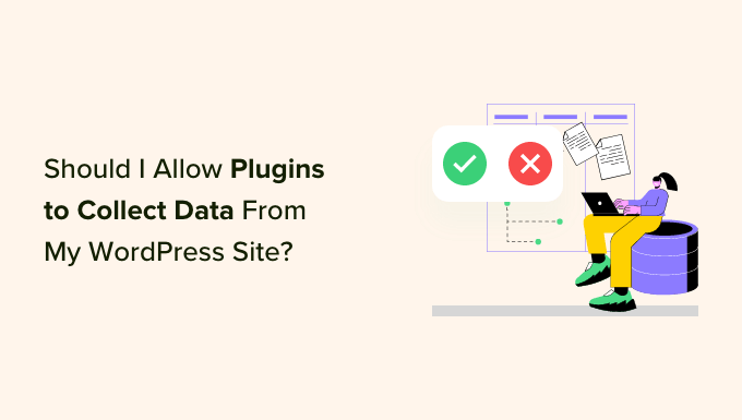 Should I Give Permission for Plugins to Collect Data From My Site?